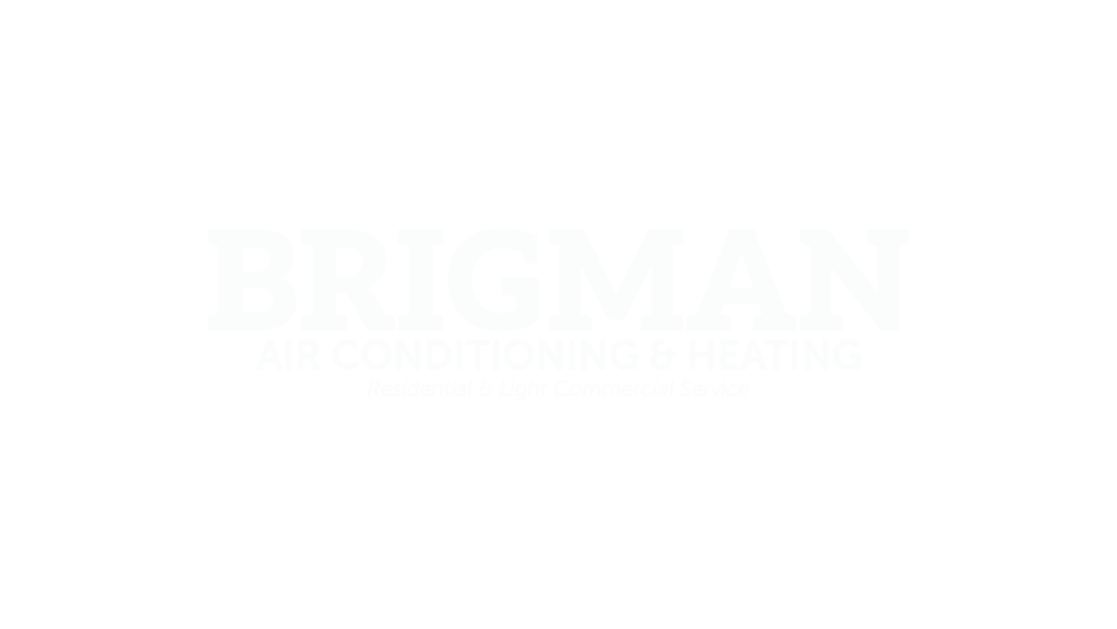 [BRIGMAN WORDMARK] 1-Color Dark Background